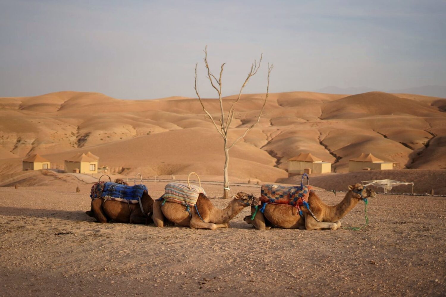 Agafay Desert near Marrakech, Morocco