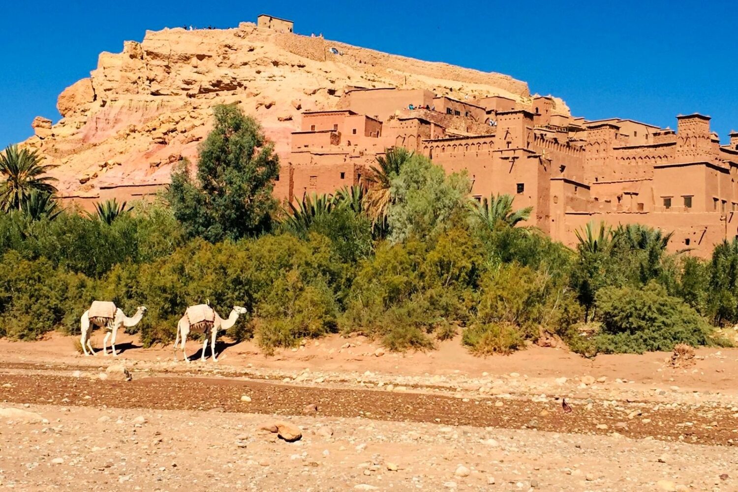 Ait Benhaddou kasbah, UNESCO World Heritage Site, Morocco