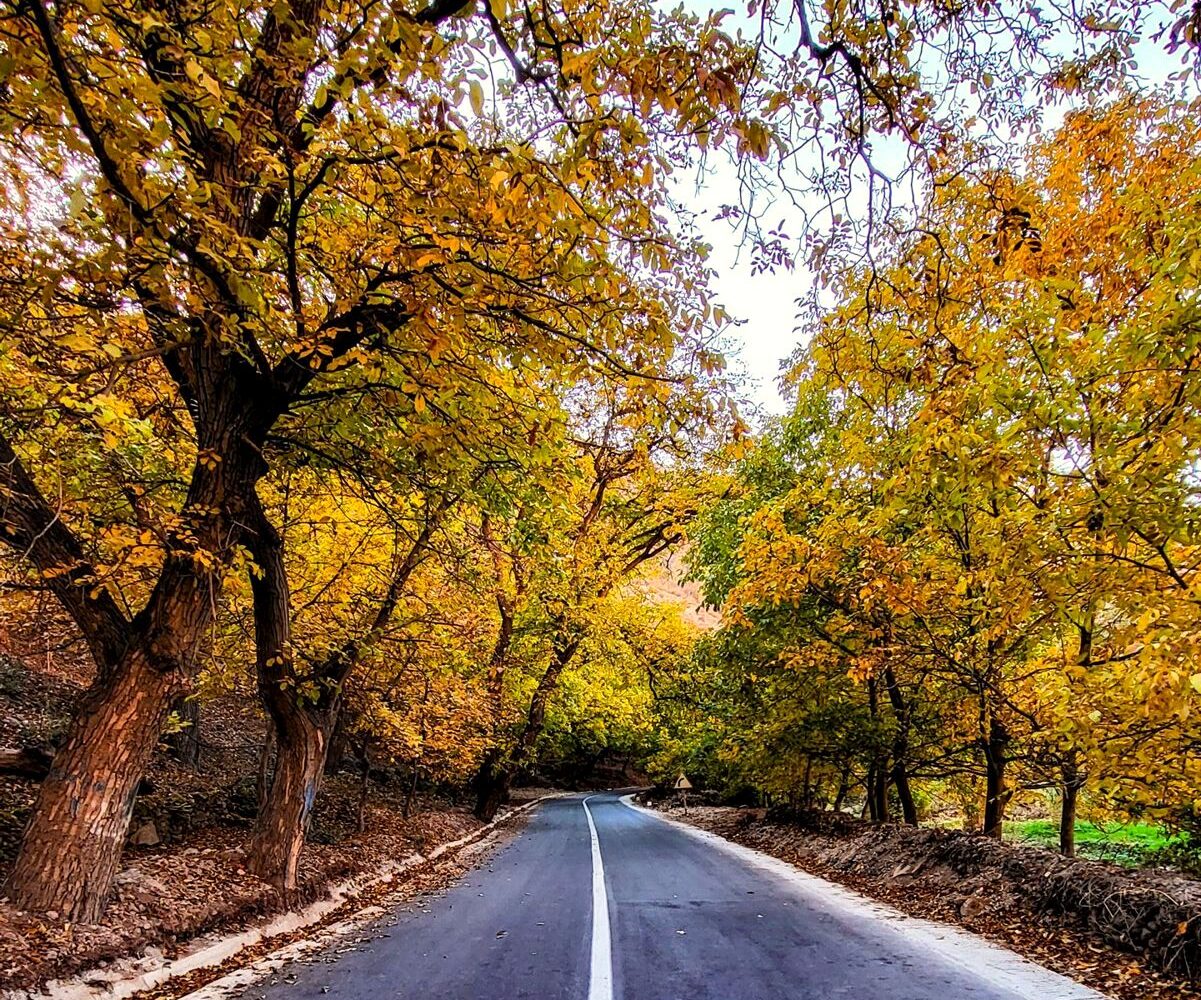 Mountain road through autumn trees in the Atlas Mountains
