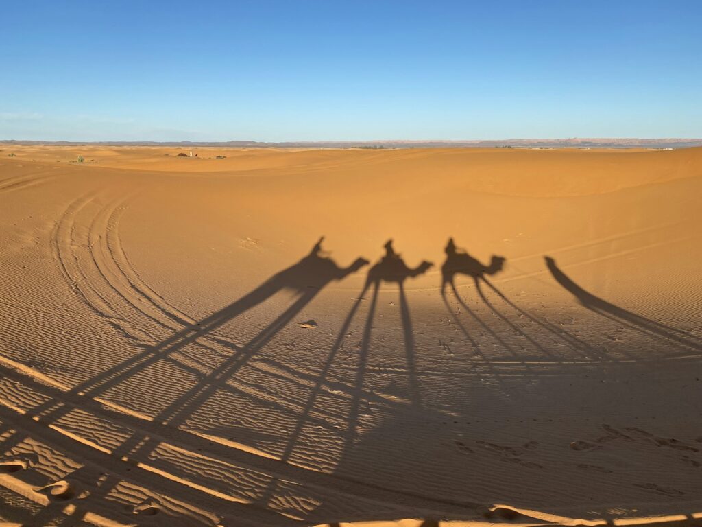 Camel caravan crossing the Sahara, as caravans once left Sijilmassa