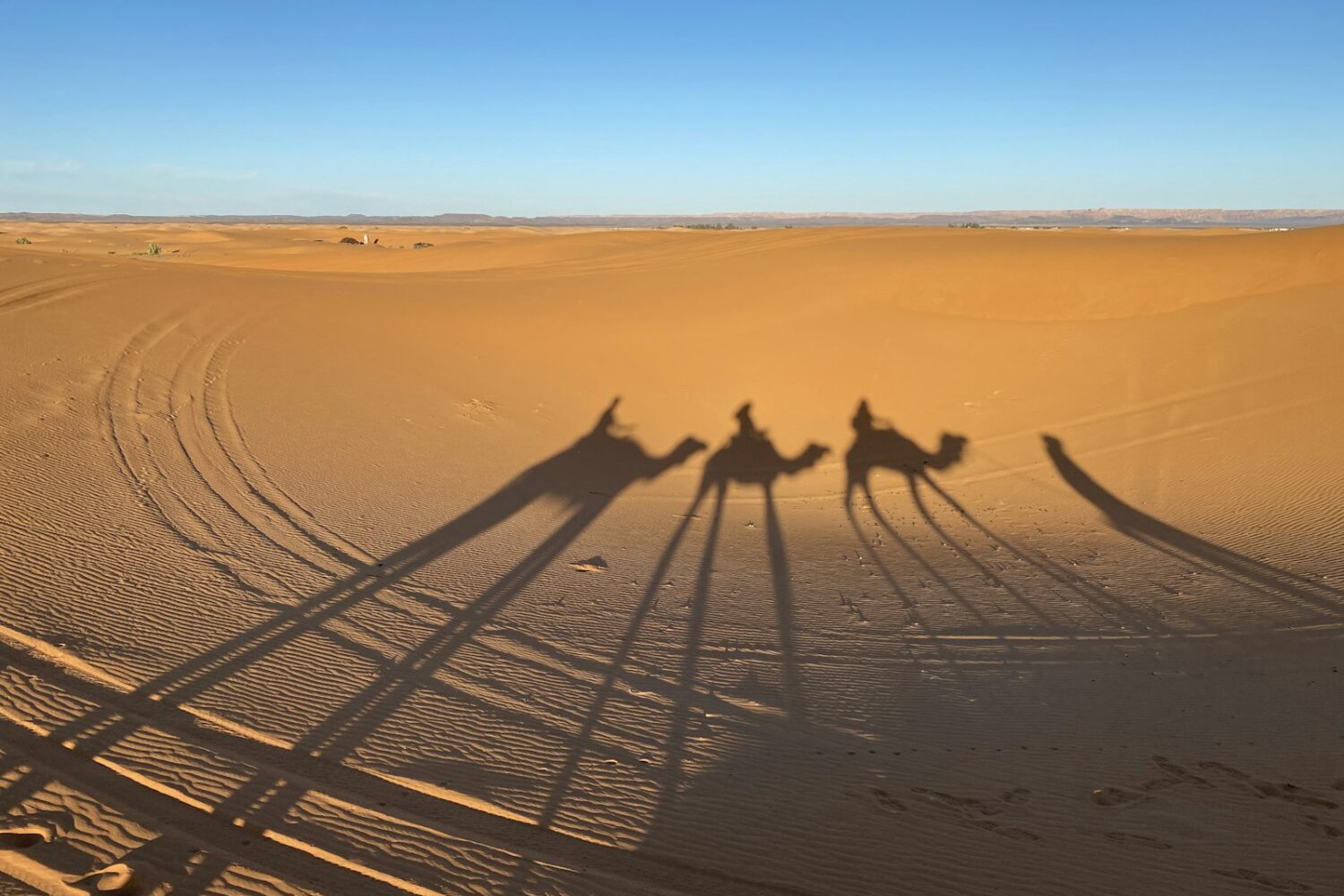 Camel caravan crossing the Sahara, as caravans once left Sijilmassa
