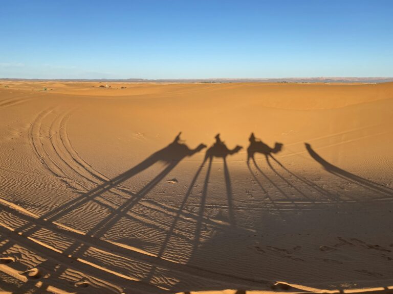 Camel caravan crossing the Sahara, as caravans once left Sijilmassa