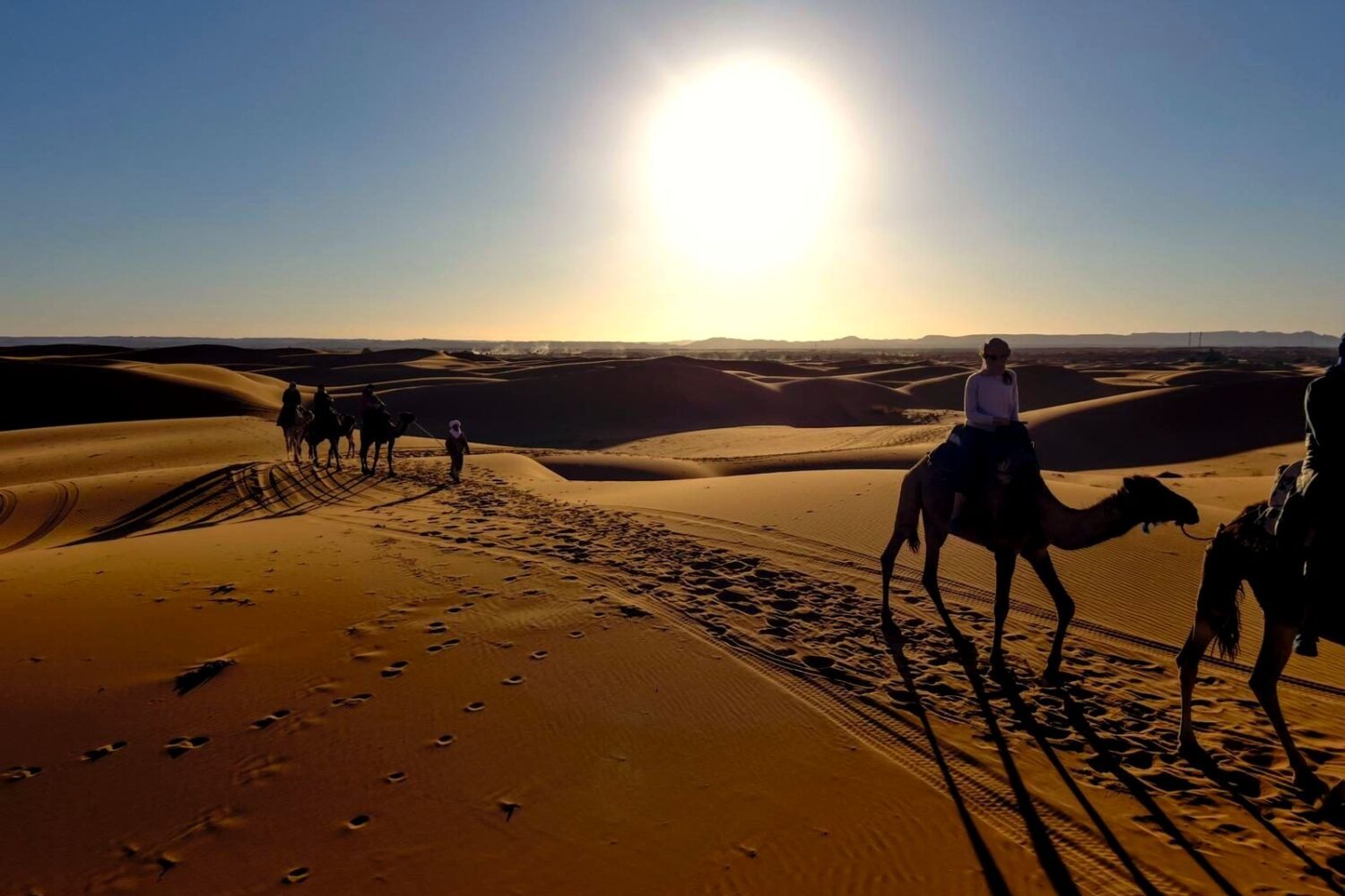 Camel trek in the Erg Chebbi dunes, Merzouga, Sahara Desert, Morocco
