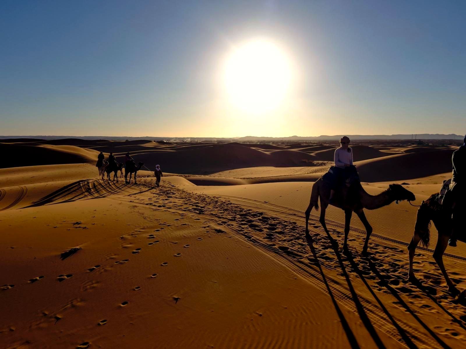 Camel trek in the Erg Chebbi dunes, Merzouga, Sahara Desert, Morocco