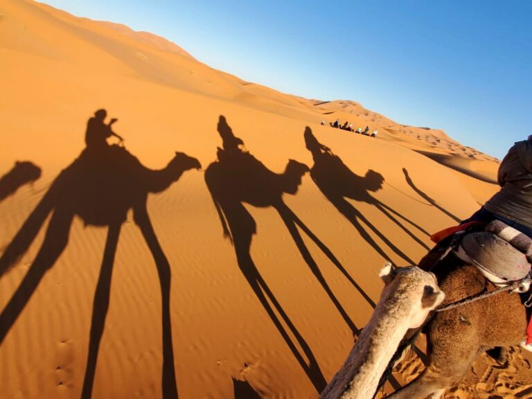 Camel trek in the Erg Chebbi dunes, Merzouga, Sahara Desert, Morocco