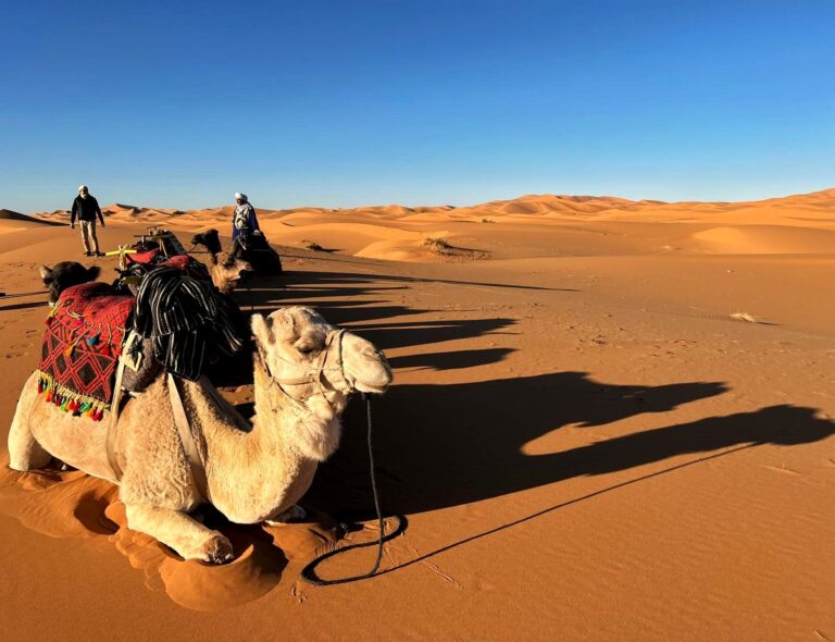 Camel trek in the Erg Chebbi dunes, Merzouga, Sahara Desert, Morocco