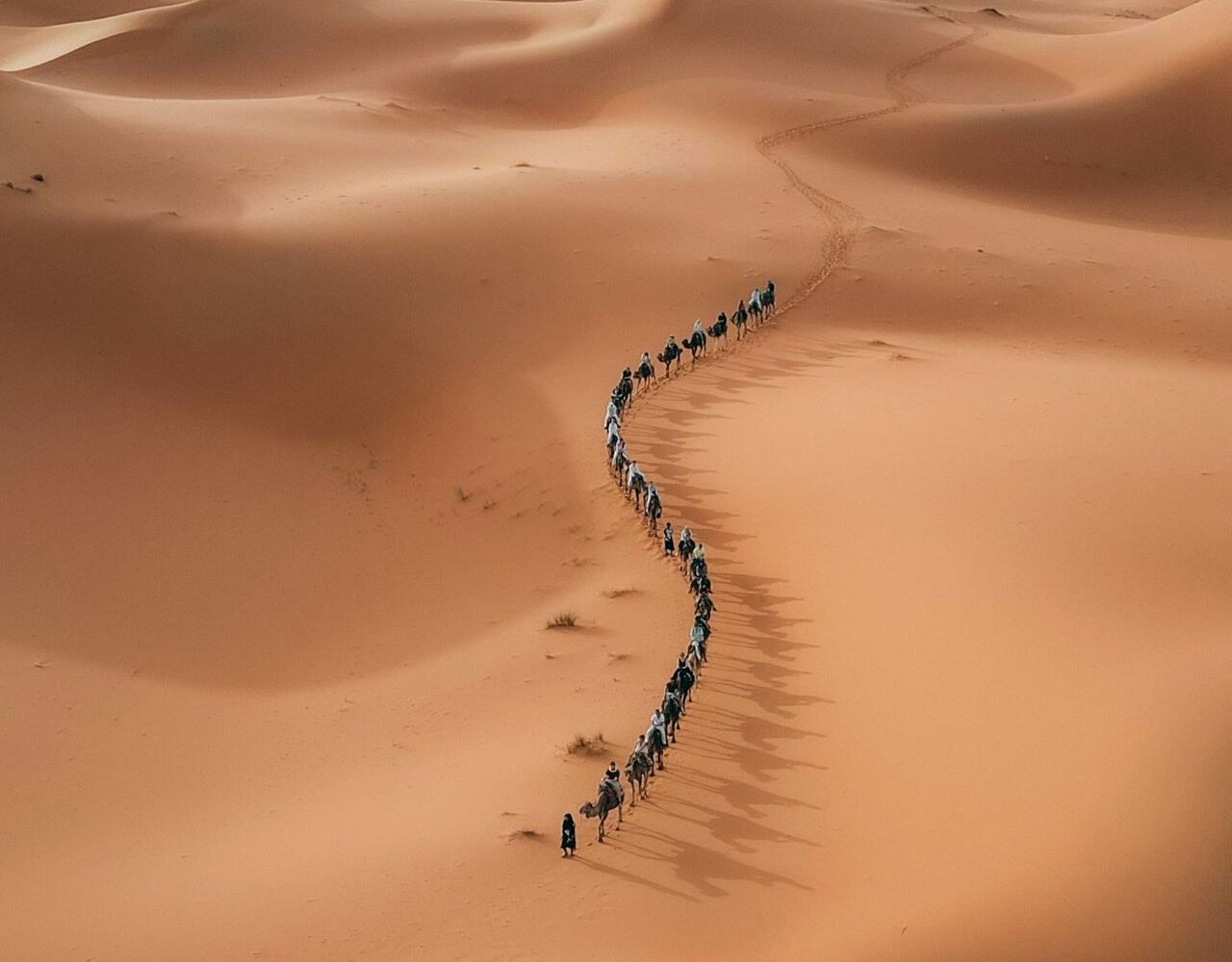 Camel trek in the Erg Chebbi dunes, Merzouga, Sahara Desert, Morocco