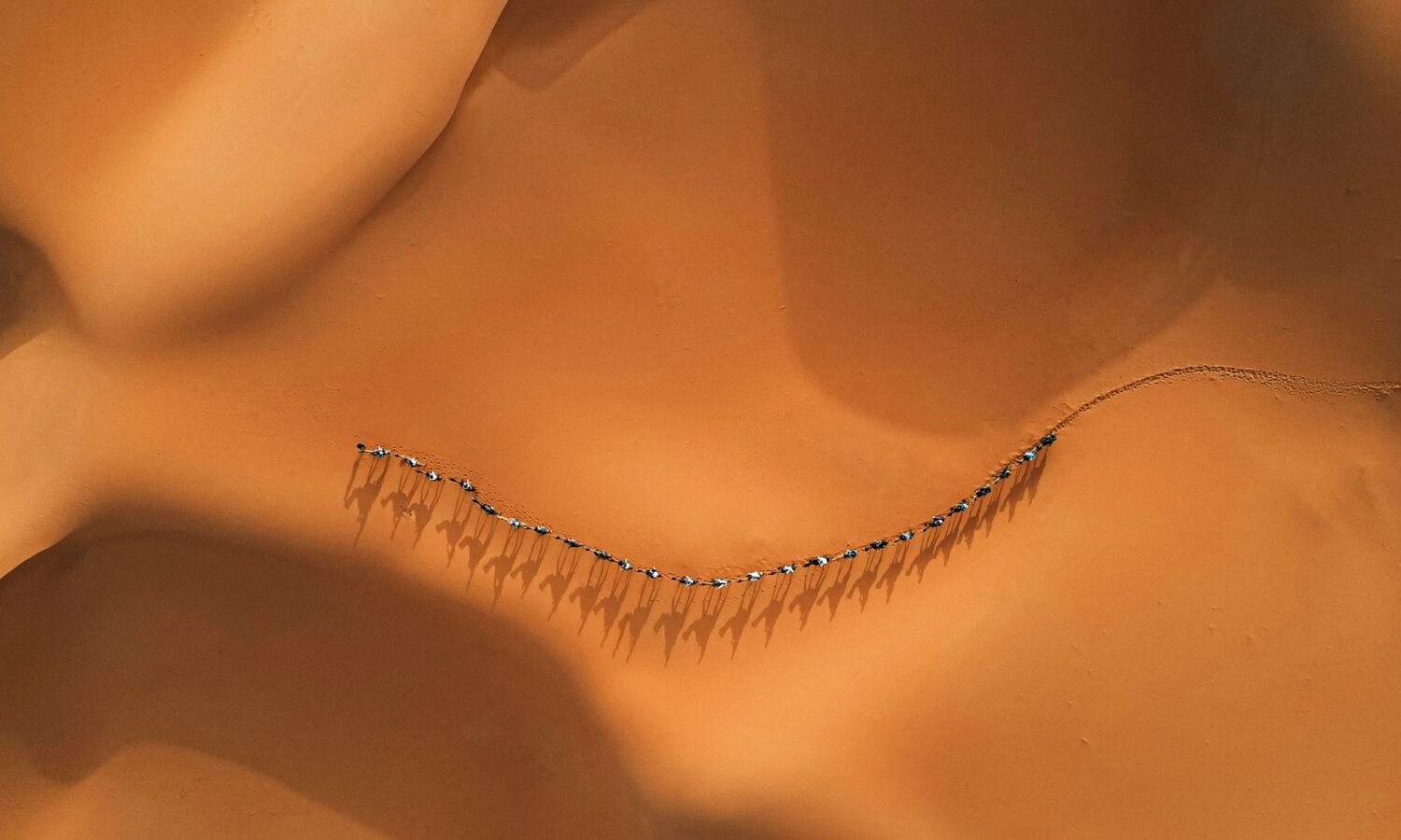 Camel trek in the Erg Chebbi dunes, Merzouga, Sahara Desert, Morocco