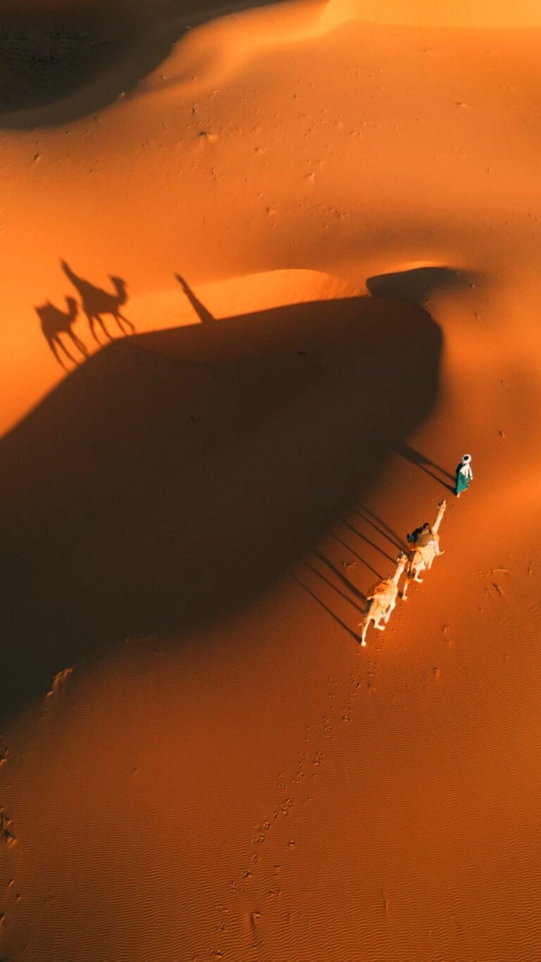 Camel trek in the Erg Chebbi dunes, Merzouga, Sahara Desert, Morocco