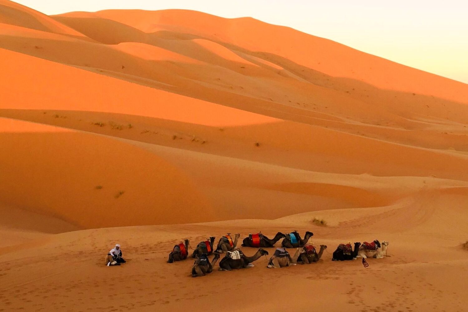 Camel trek in the Erg Chebbi dunes, Merzouga, Sahara Desert, Morocco