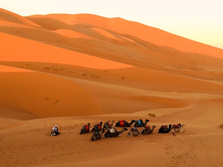 Camel trek in the Erg Chebbi dunes, Merzouga, Sahara Desert, Morocco