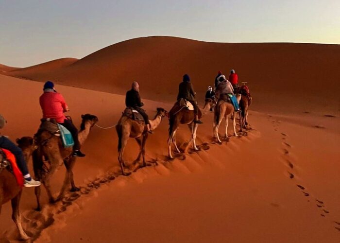 Camel trek in the Erg Chebbi dunes, Merzouga, Sahara Desert, Morocco