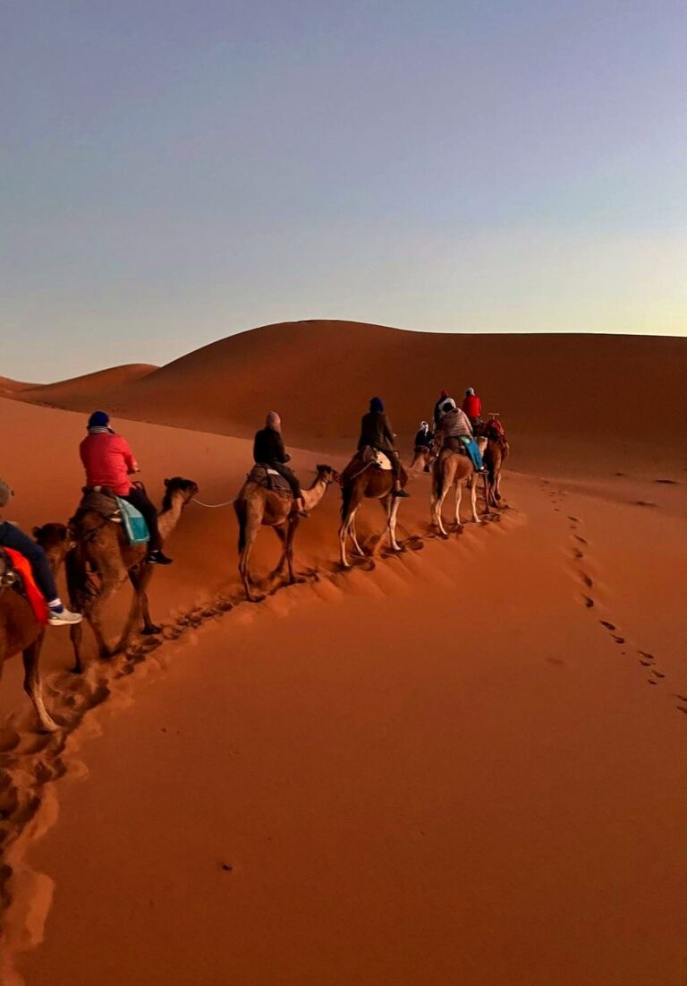 Camel trek in the Erg Chebbi dunes, Merzouga, Sahara Desert, Morocco