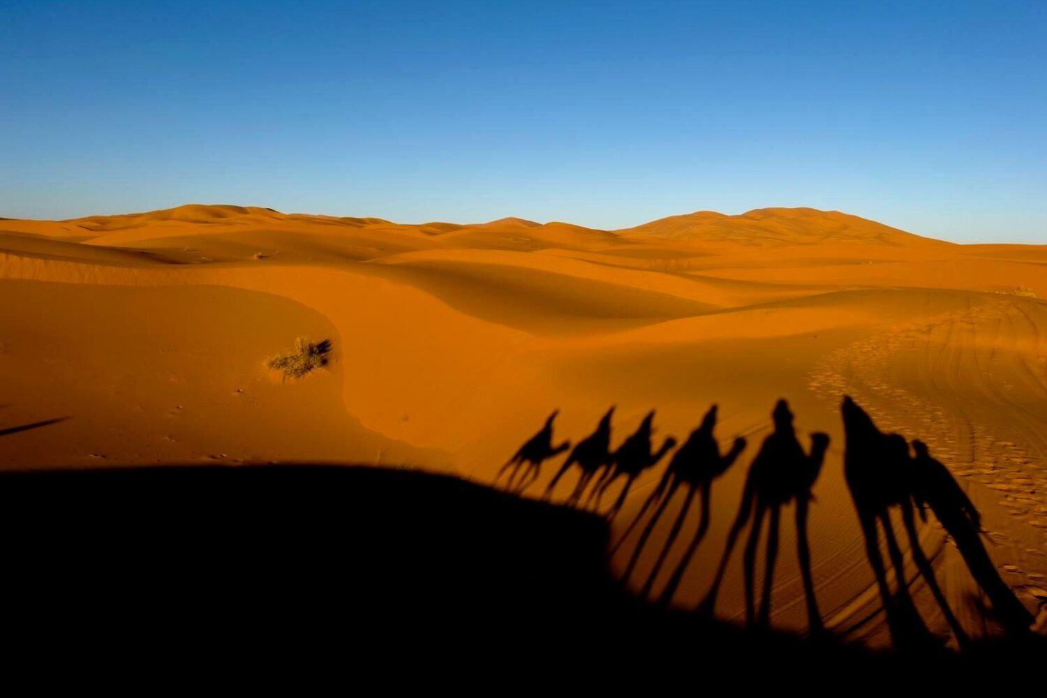 Camel trek in the Erg Chebbi dunes, Merzouga, Sahara Desert, Morocco