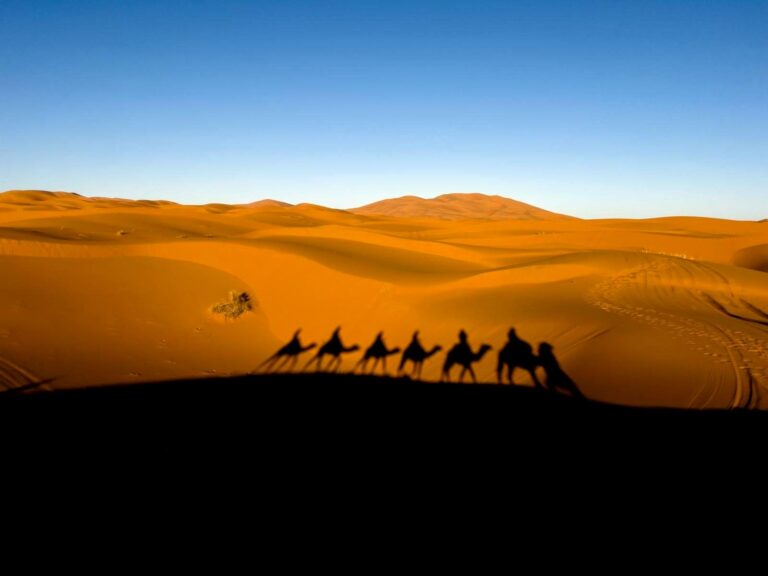 Camel trek in the Erg Chebbi dunes, Merzouga, Sahara Desert, Morocco