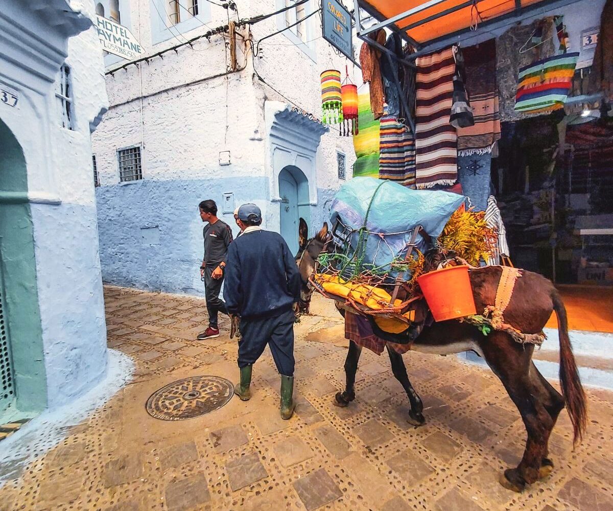 Blue streets of Chefchaouen, the blue city of Morocco