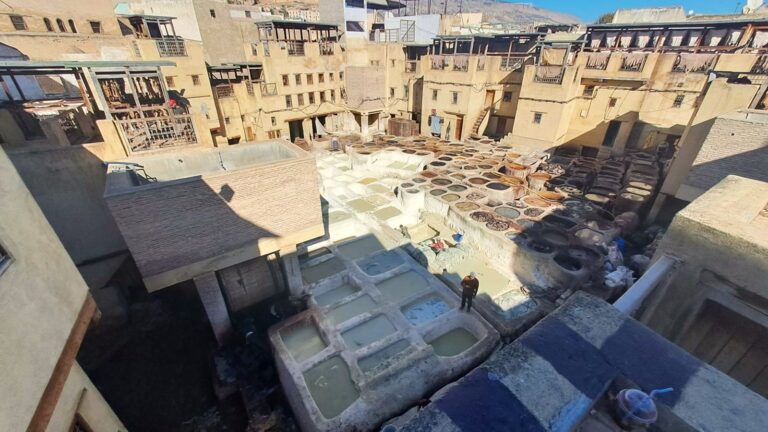 Chouara tannery in the Fes medina, Morocco