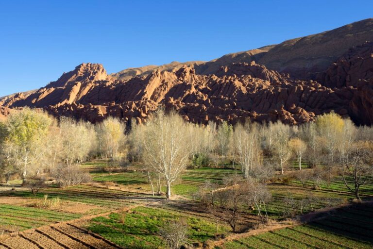 Dades Valley and Dades Gorge, Morocco