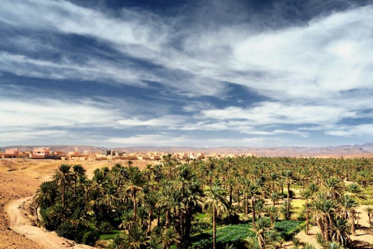 Draa Valley palm oasis, southern Morocco