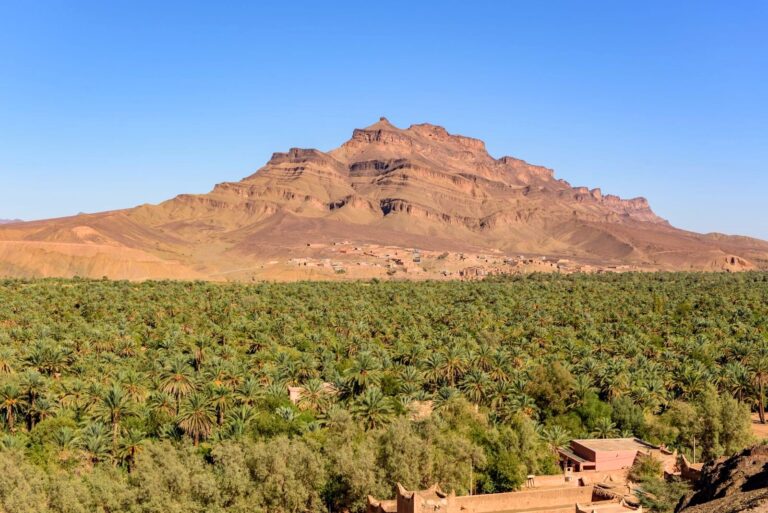 Draa Valley palm oasis, southern Morocco