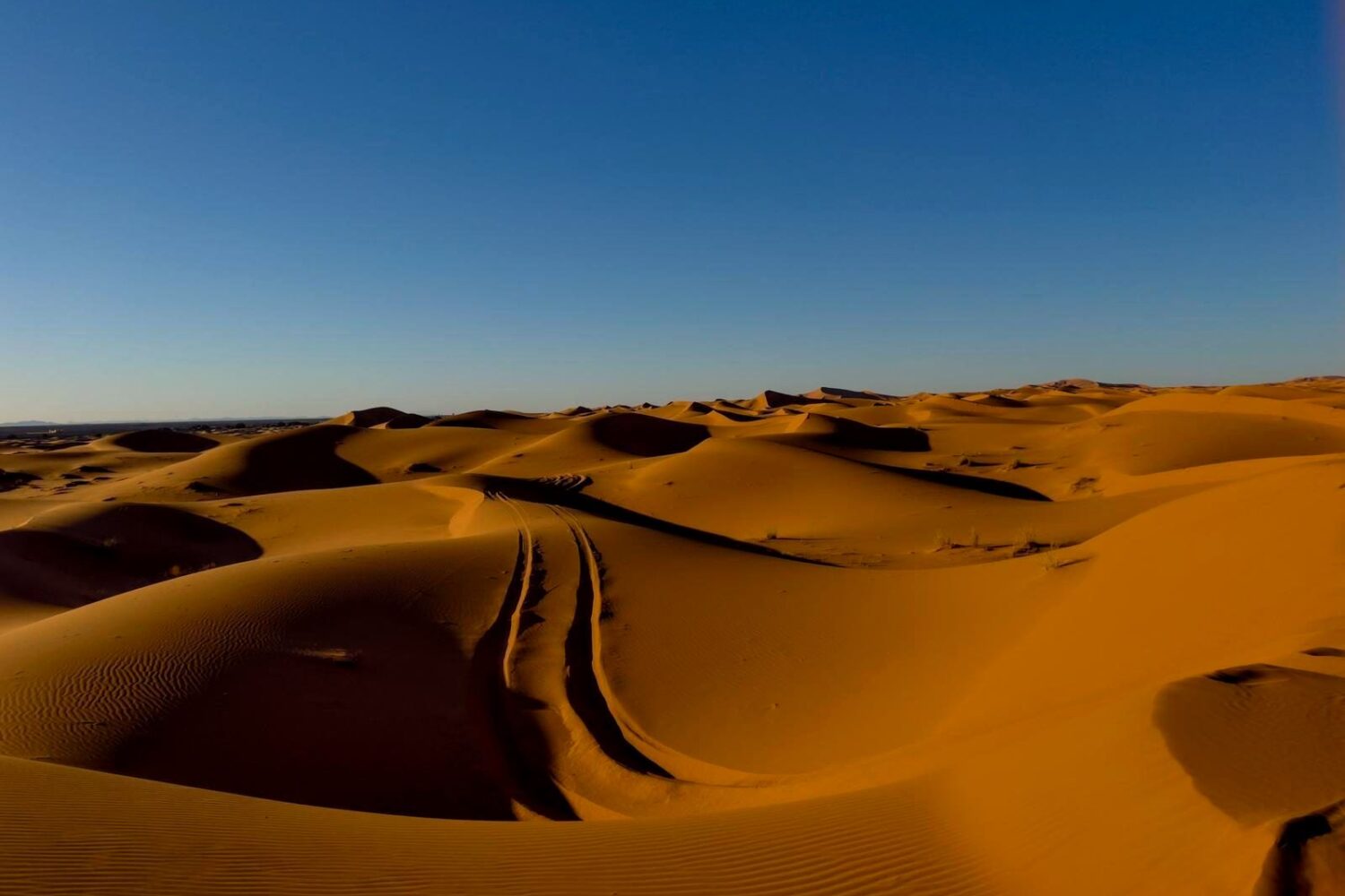 Golden sand dunes of Erg Chebbi in the Moroccan Sahara