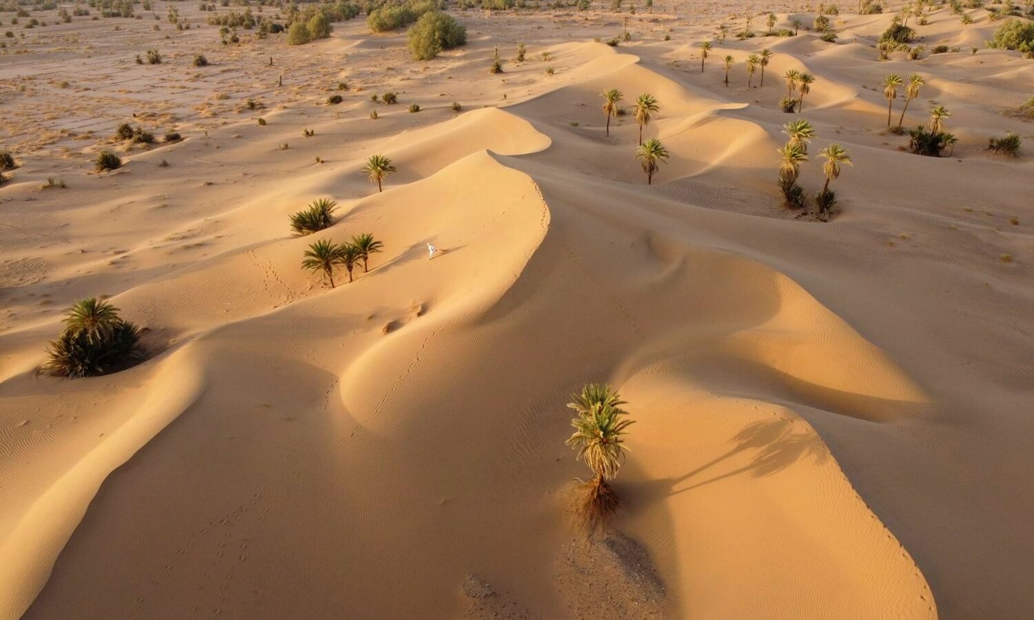 Golden sand dunes of Erg Chebbi in the Moroccan Sahara