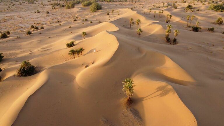 Golden sand dunes of Erg Chebbi in the Moroccan Sahara