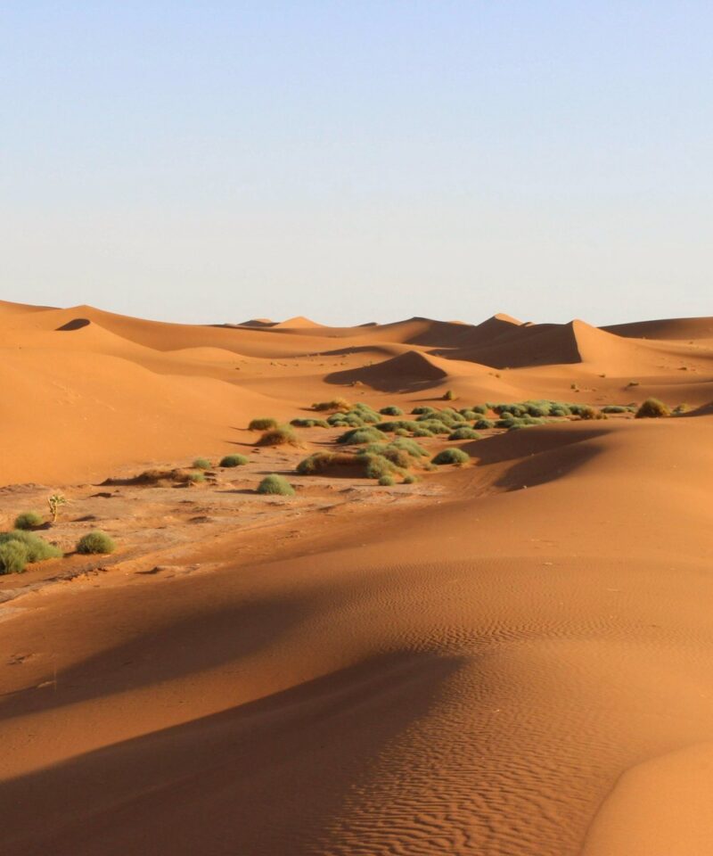 Erg Chigaga or Merzouga: which desert to choose?