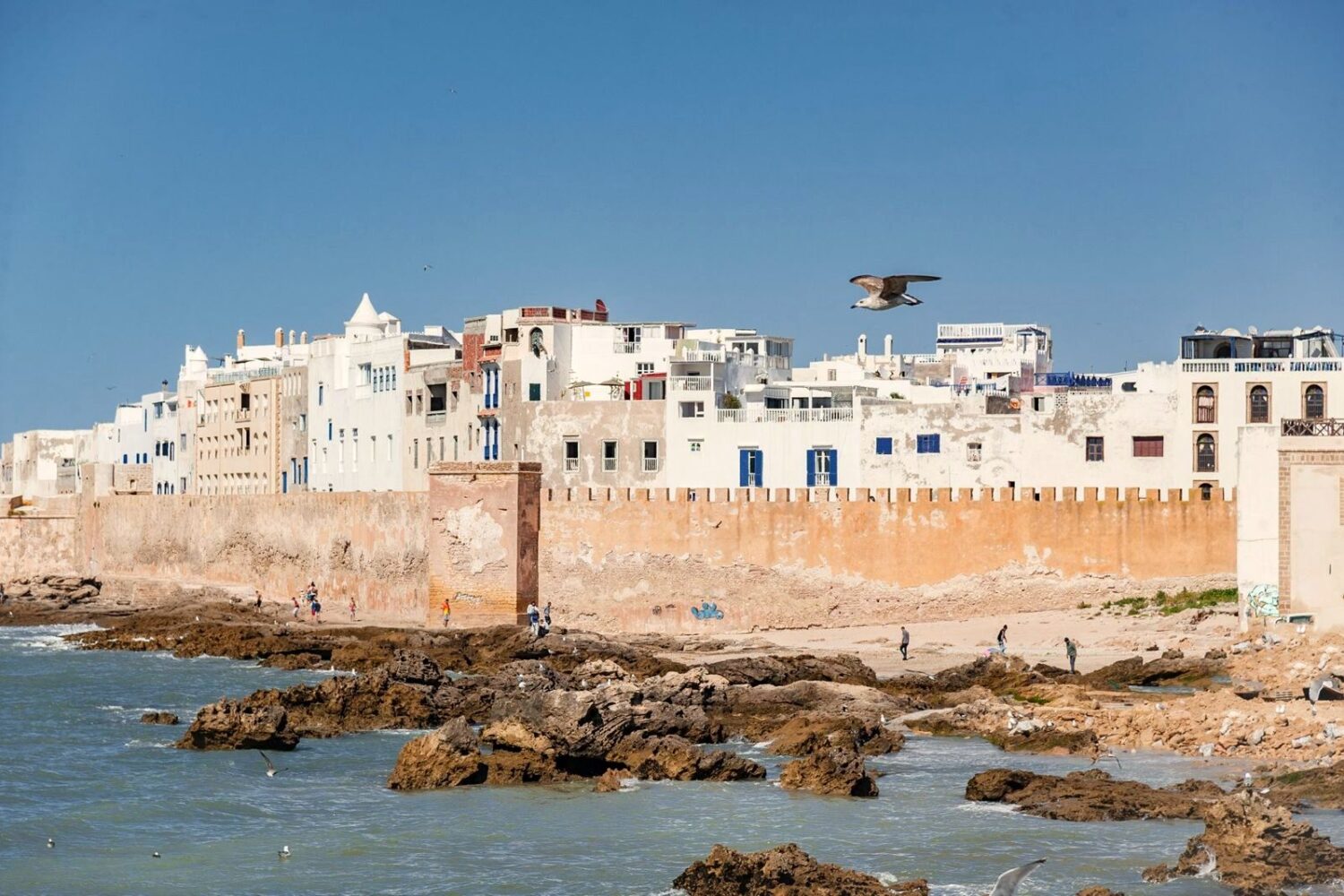Essaouira port, blue fishing boats and Skala ramparts, Morocco