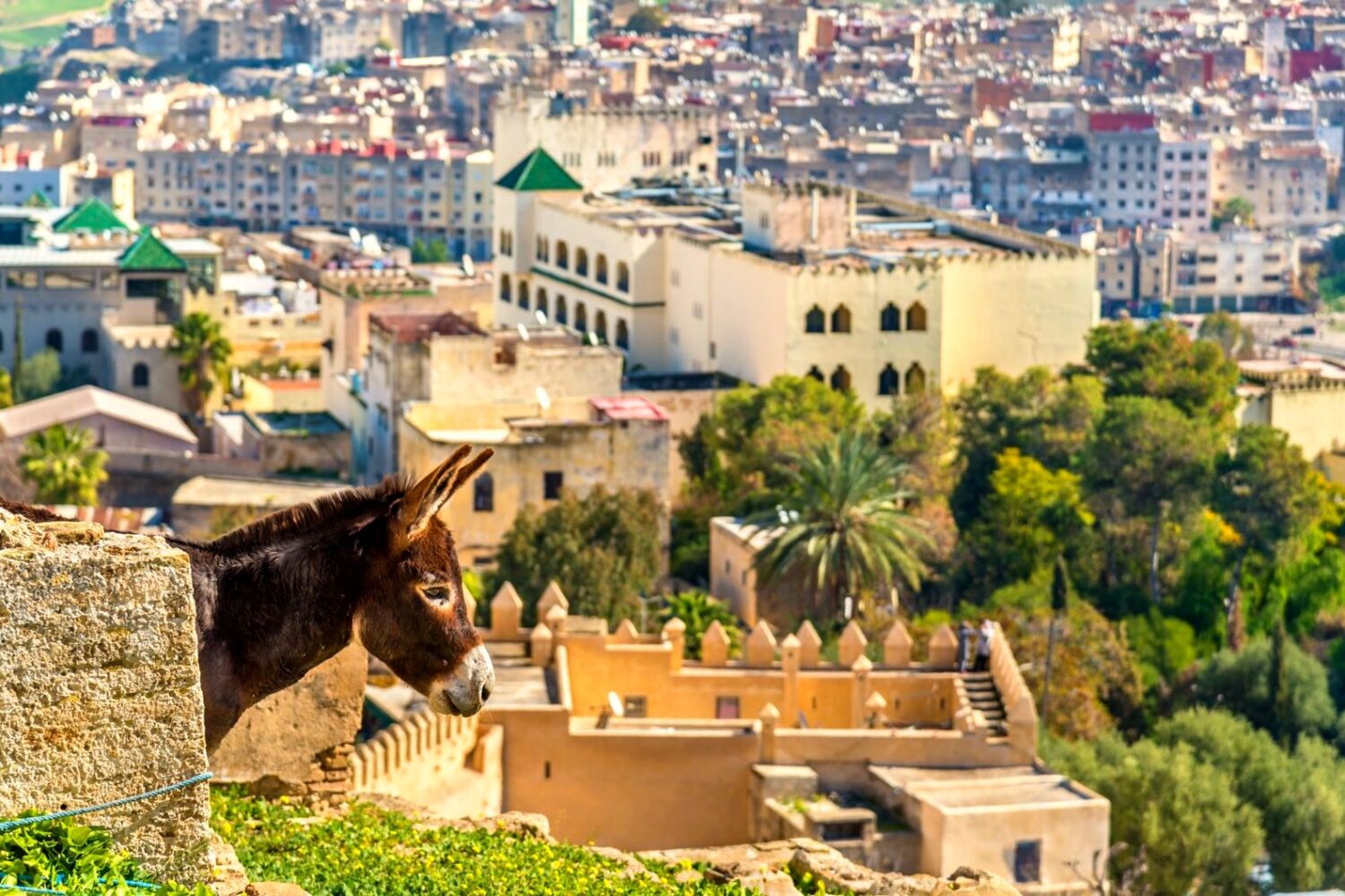 Fes el-Bali medina, Fes, Morocco