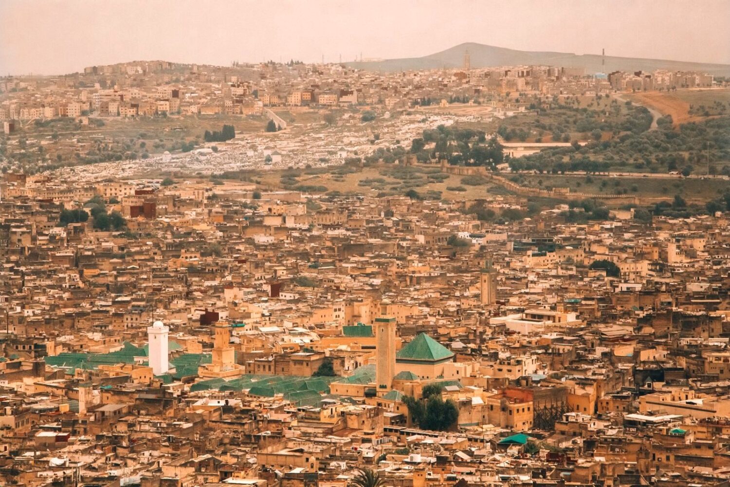 Panorama of the Fes el-Bali medina, Fes, Morocco