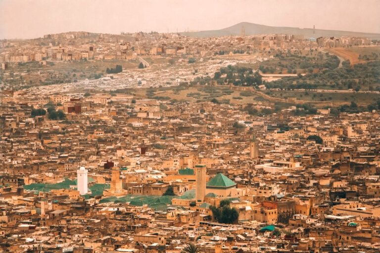 Panorama of the Fes el-Bali medina, Fes, Morocco