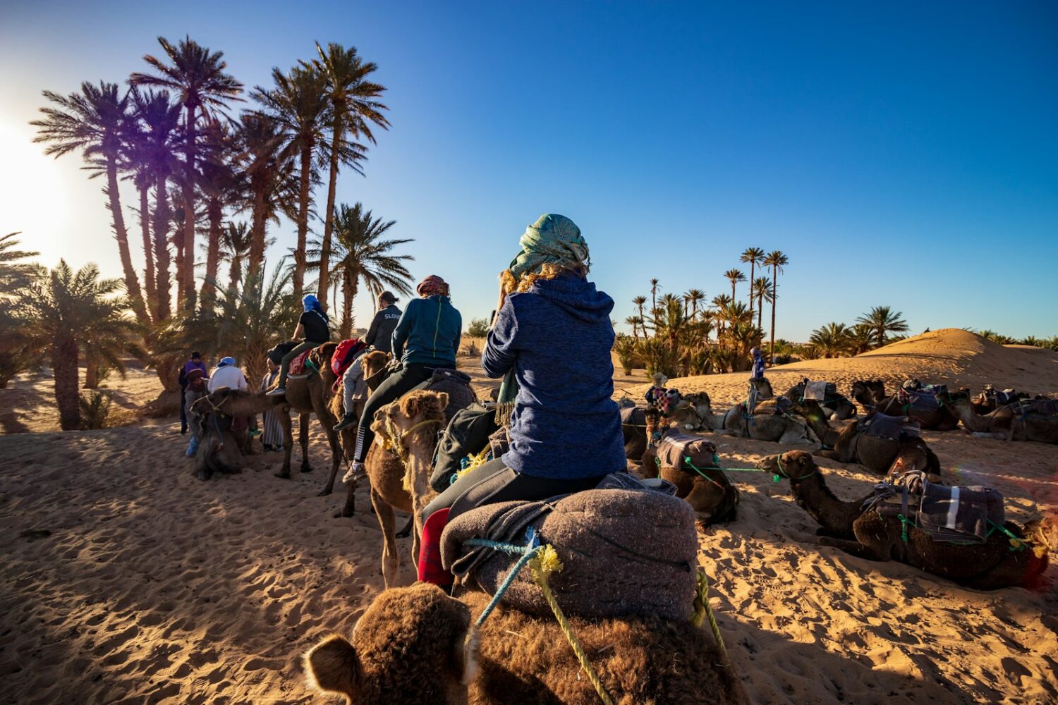 Friends riding camels by the palm trees