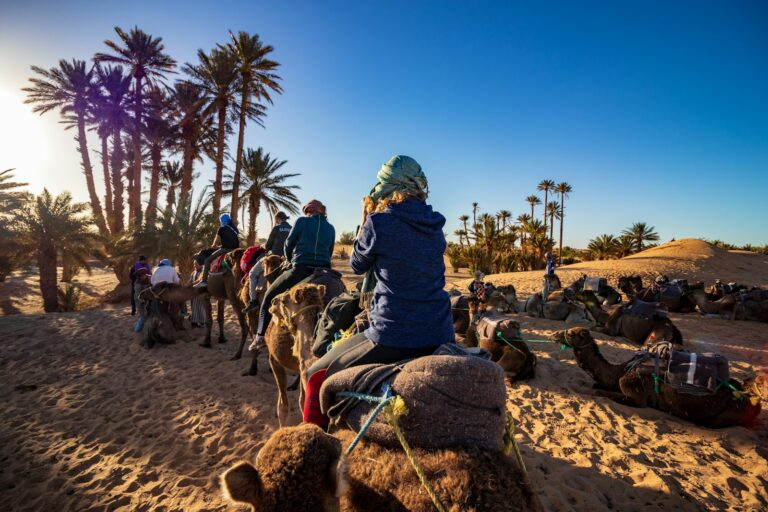 Friends riding camels by the palm trees