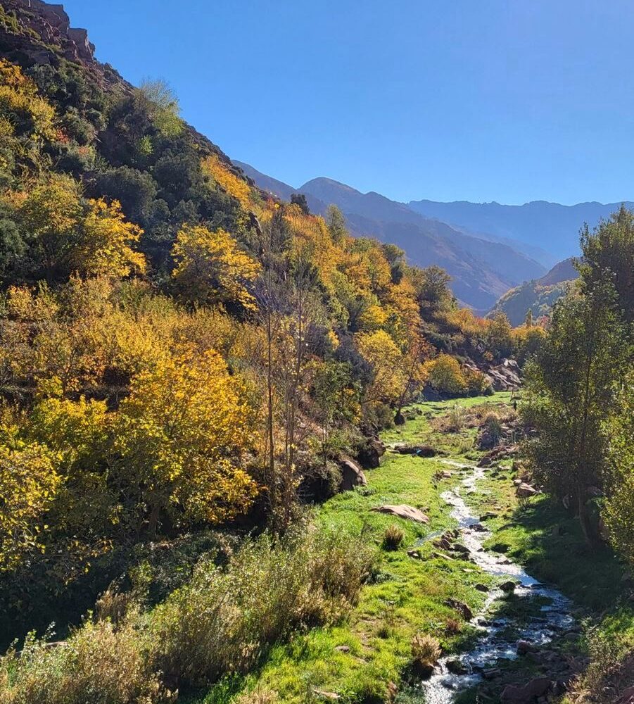 Green valley in the High Atlas Mountains, Morocco