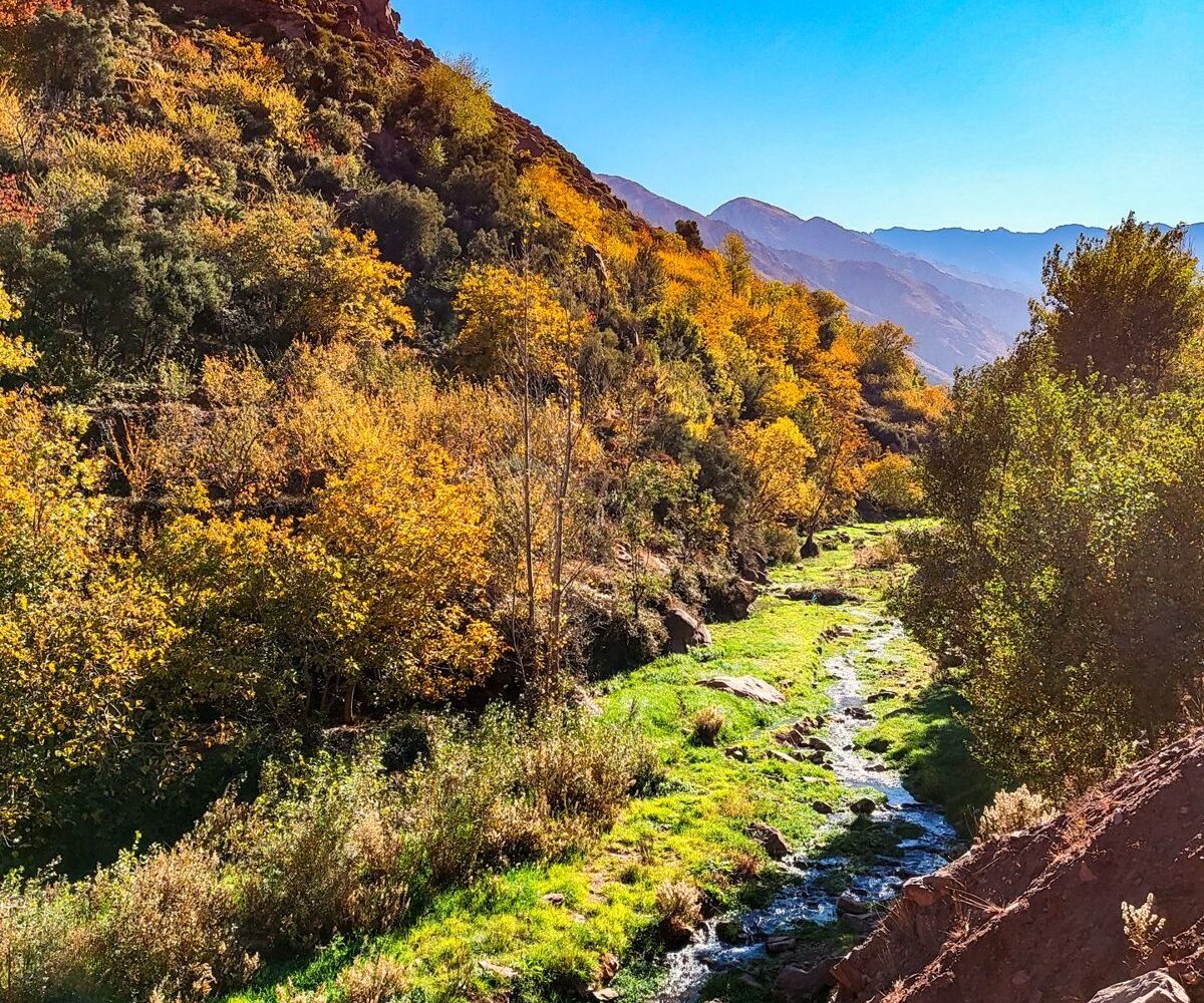 Green valley in the High Atlas Mountains, Morocco