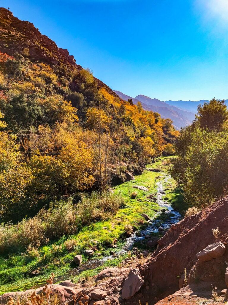 Green valley in the High Atlas Mountains, Morocco