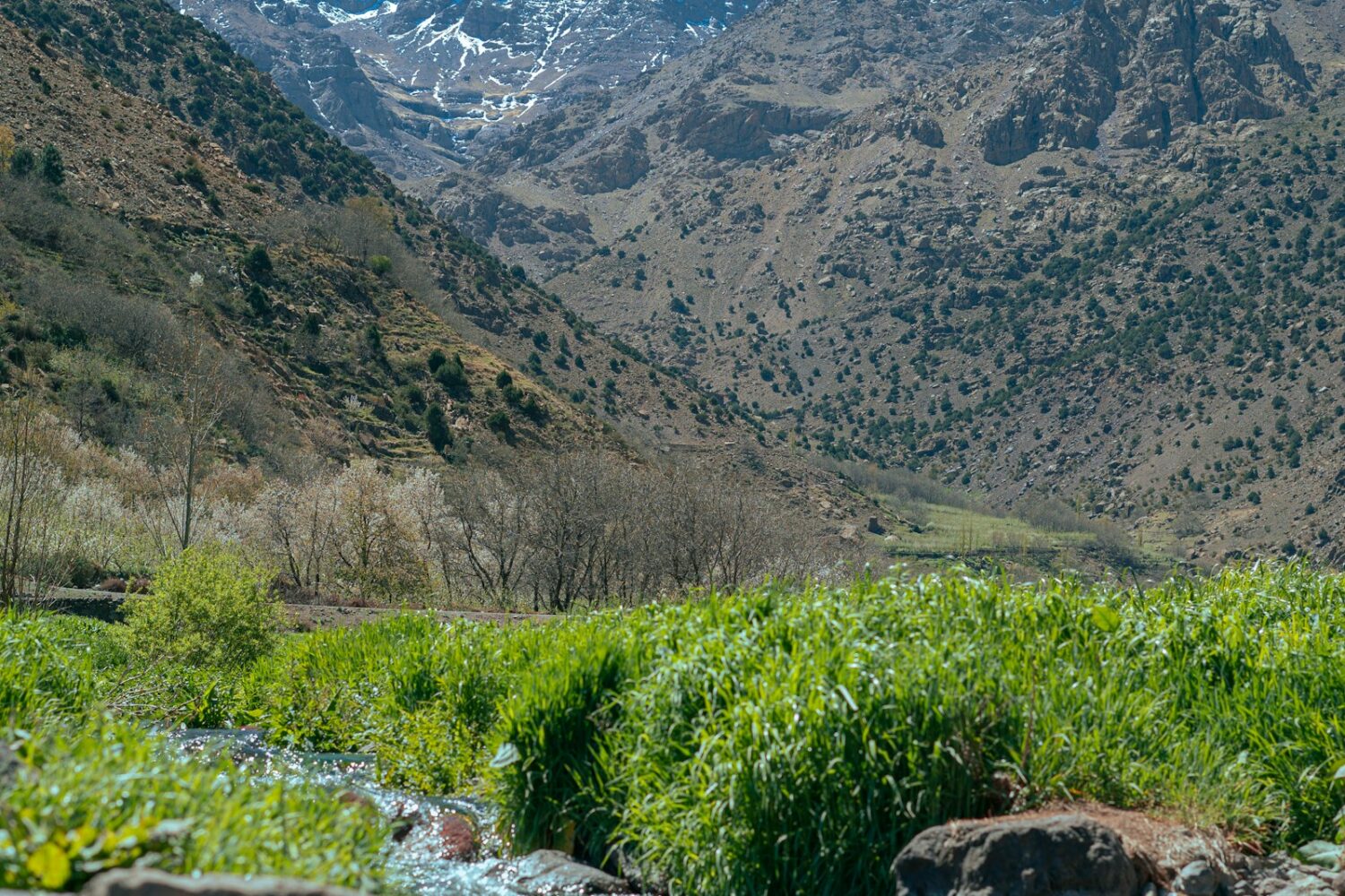 Green valley and stream in the High Atlas