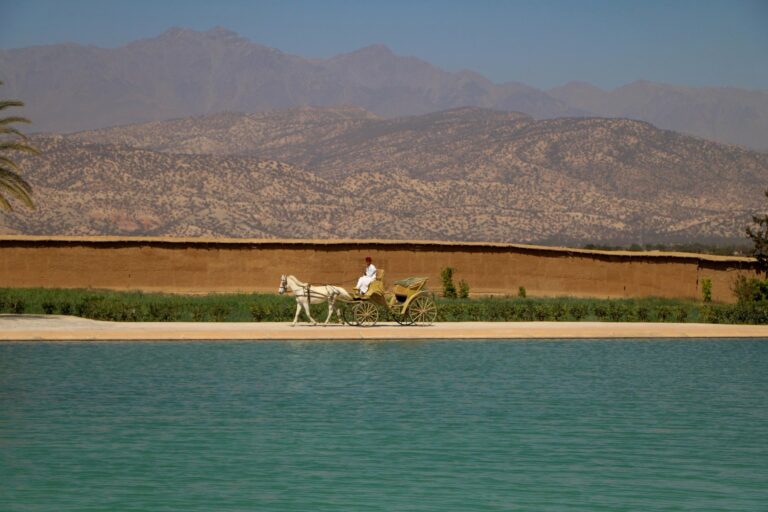 Horse carriage beside earthen ramparts in the Souss, Morocco