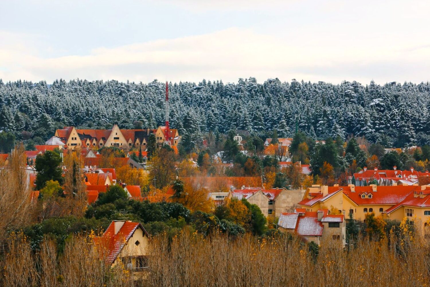 Ifrane and the cedar forests of the Middle Atlas, Morocco