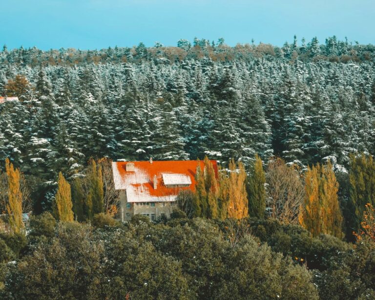 Ifrane and the cedar forests of the Middle Atlas, Morocco
