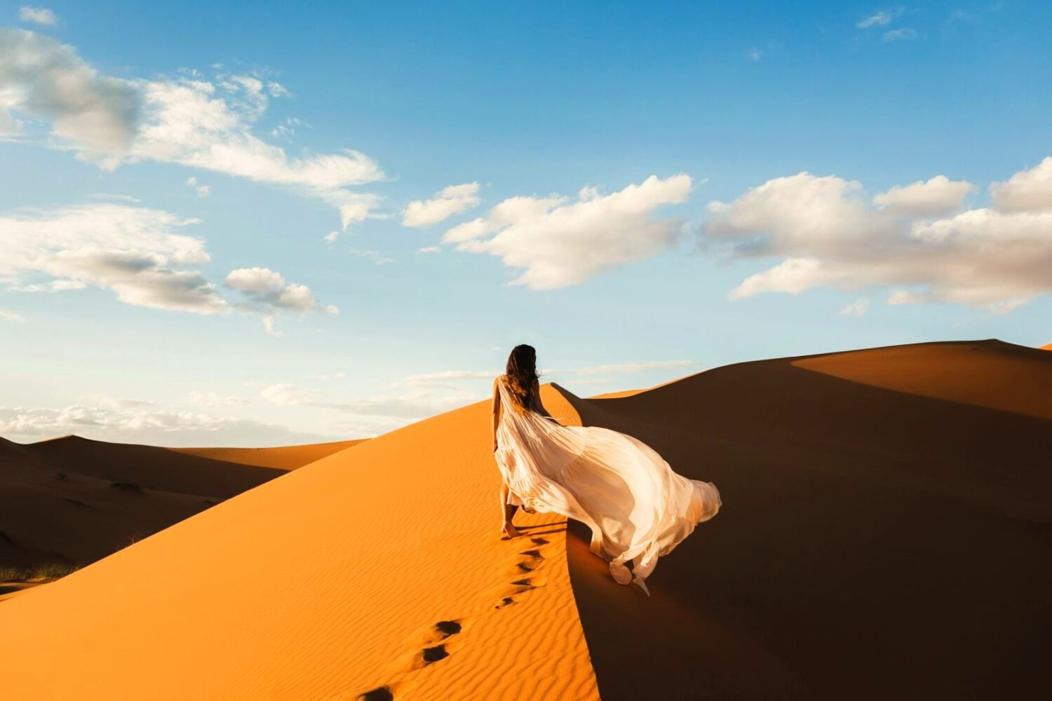 Erg Chebbi dunes and camels, Merzouga, Sahara Desert, Morocco