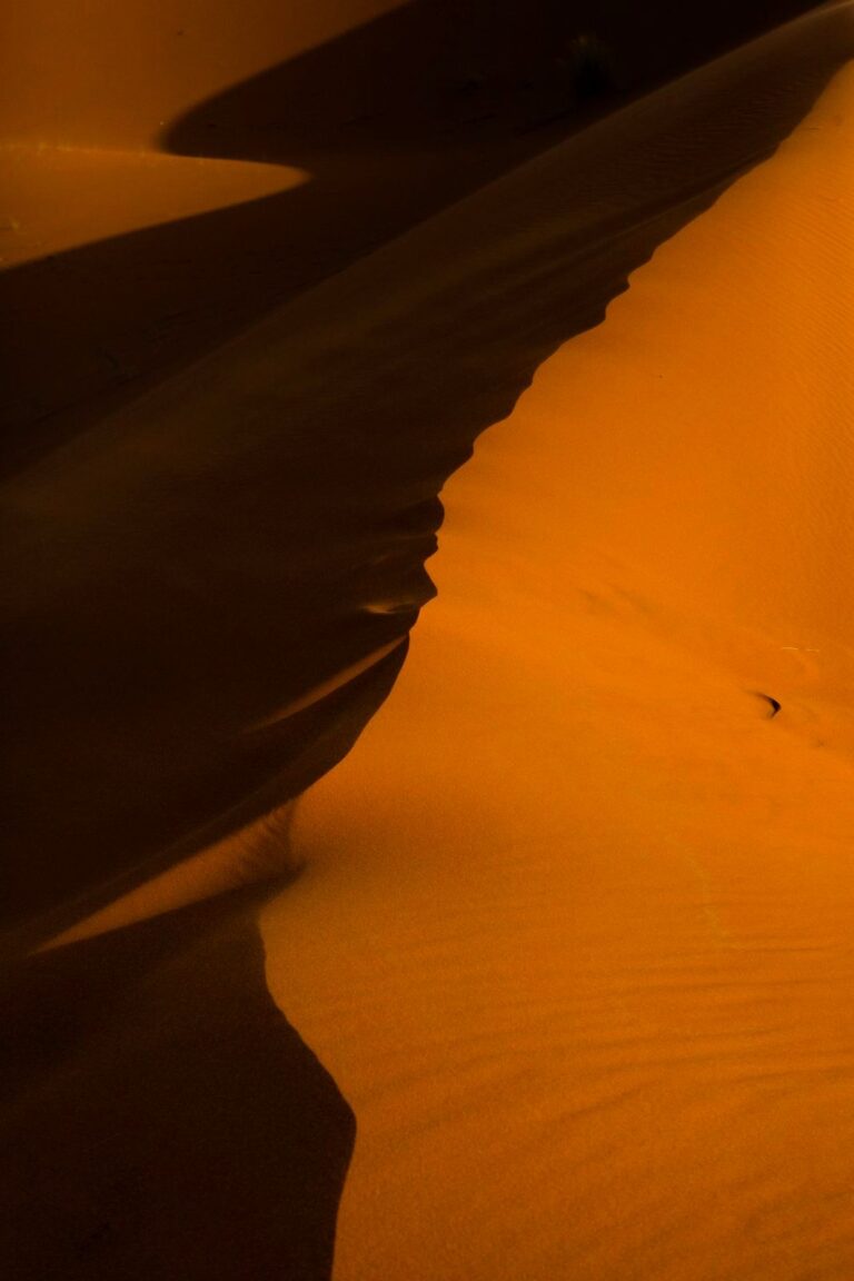 Erg Chebbi dunes and camels, Merzouga, Sahara Desert, Morocco