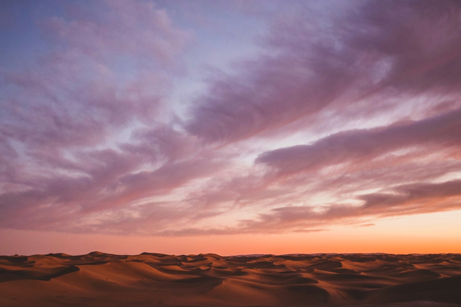 Desert near M'hamid at sunset, Morocco