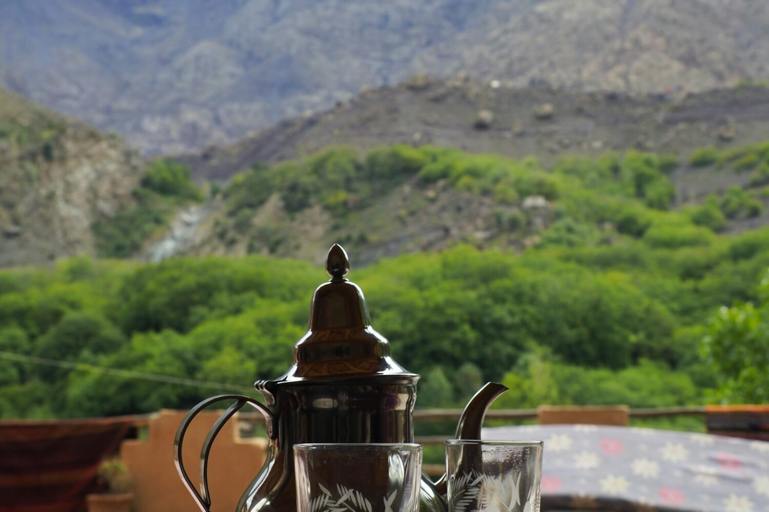 Mint tea overlooking a green High Atlas valley