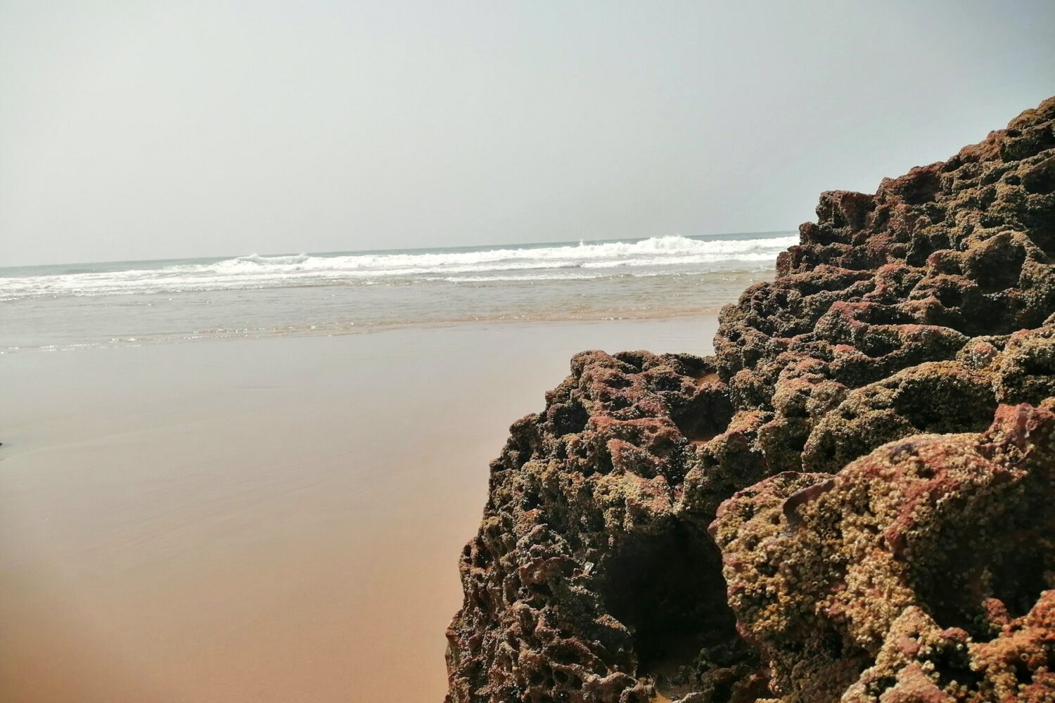 Rocky shore at Mirleft, Morocco