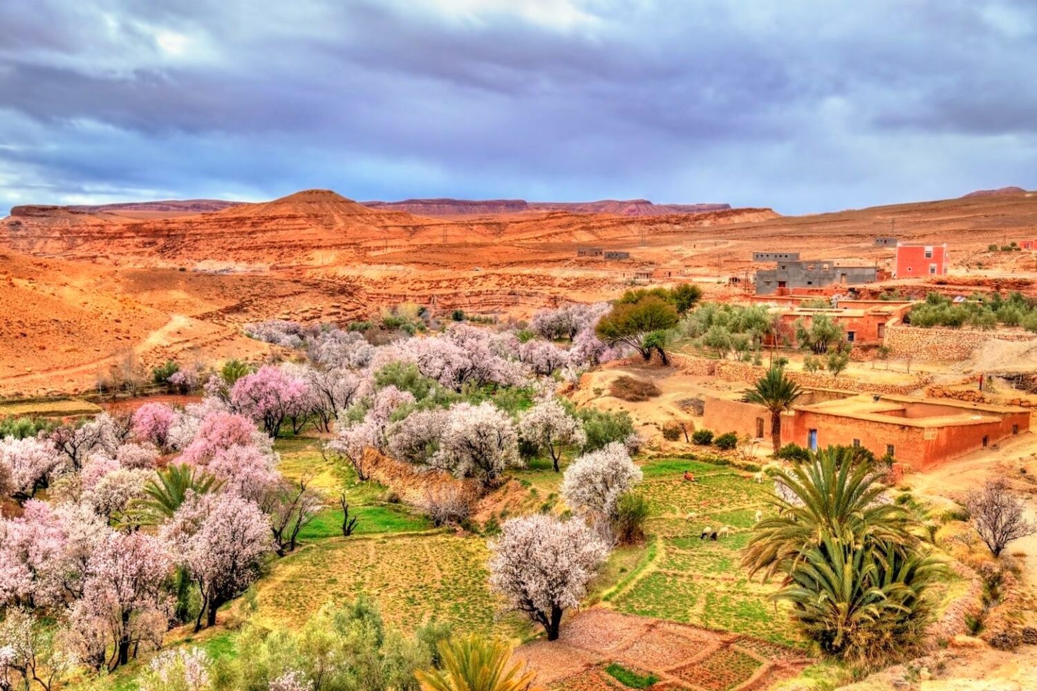 Ounila Valley road and kasbahs, High Atlas, Morocco