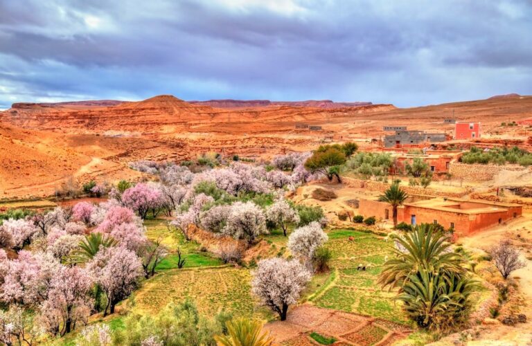 Ounila Valley road and kasbahs, High Atlas, Morocco
