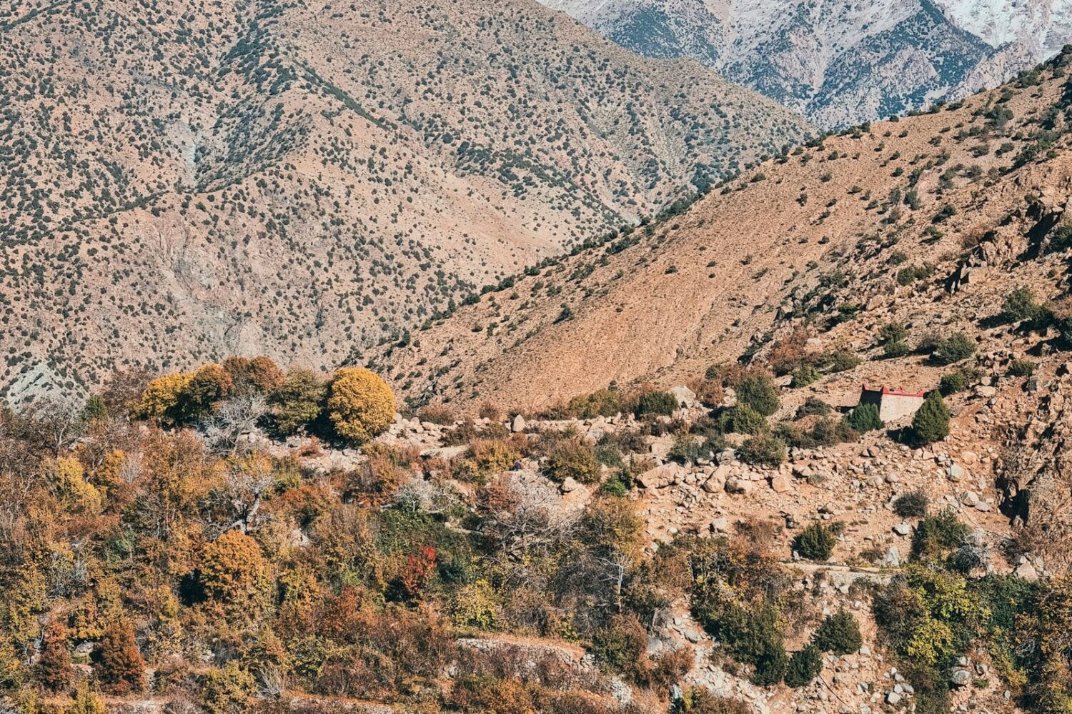 Mountains above the Ourika River