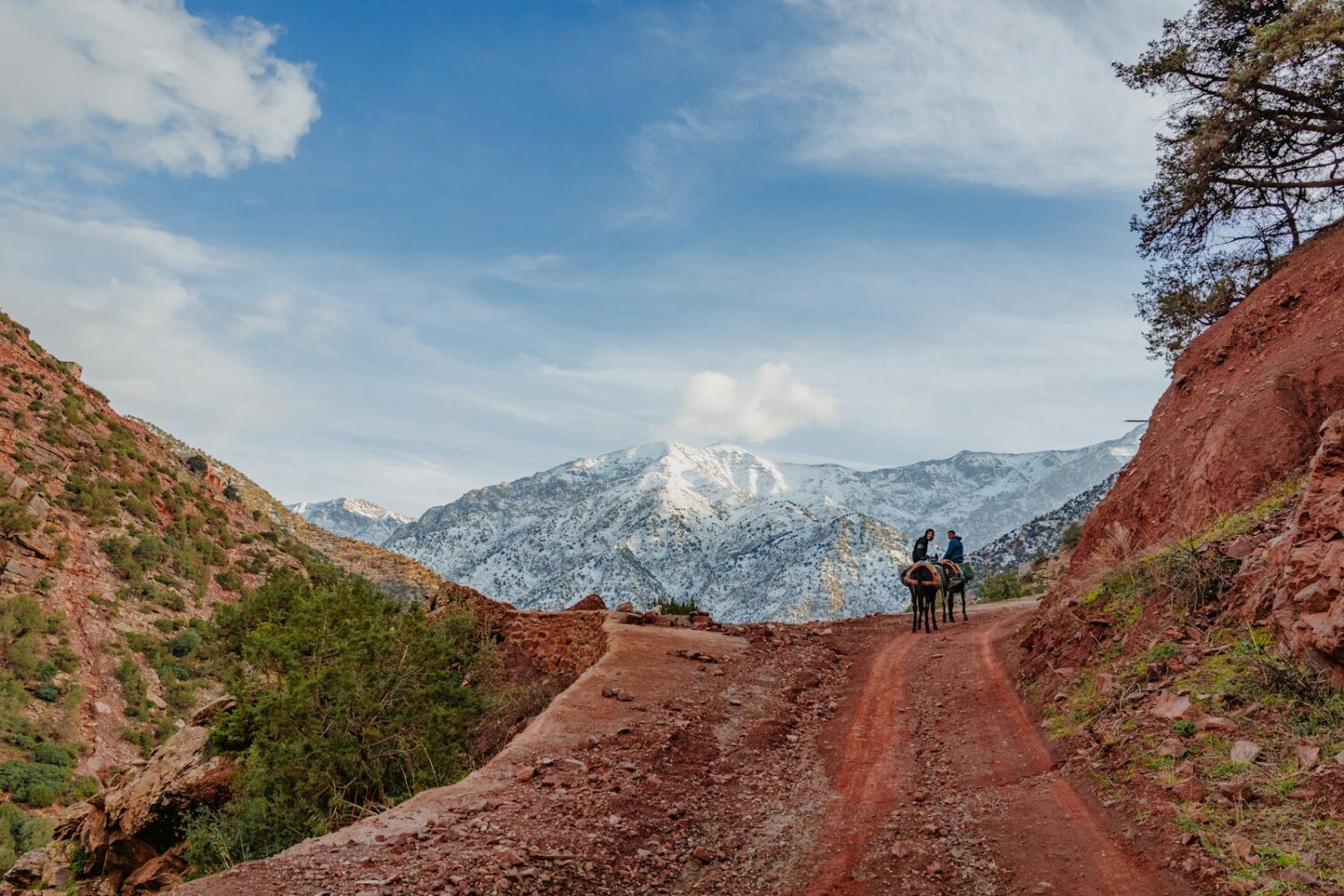 Dirt trail towards the High Atlas in the Ourika Valley